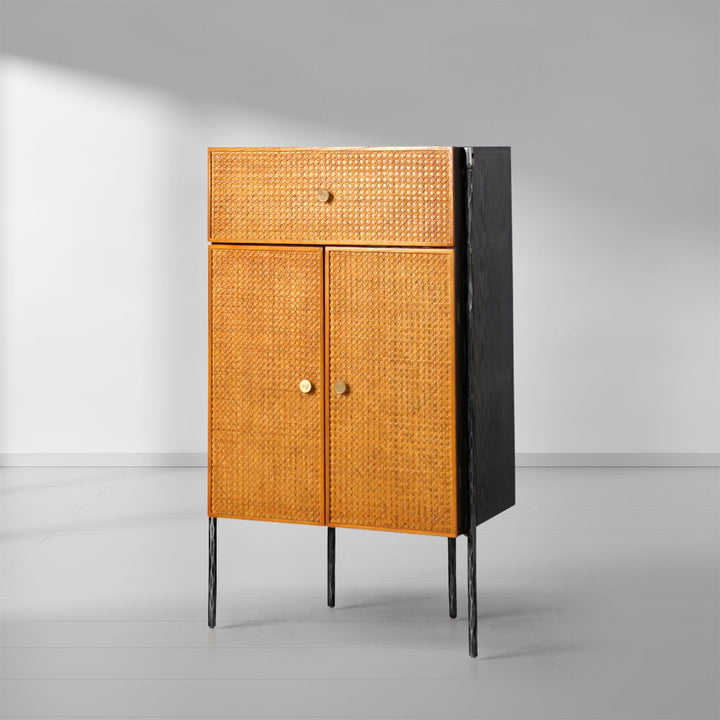 Thades Metal Frame Rattan Side Cabinet