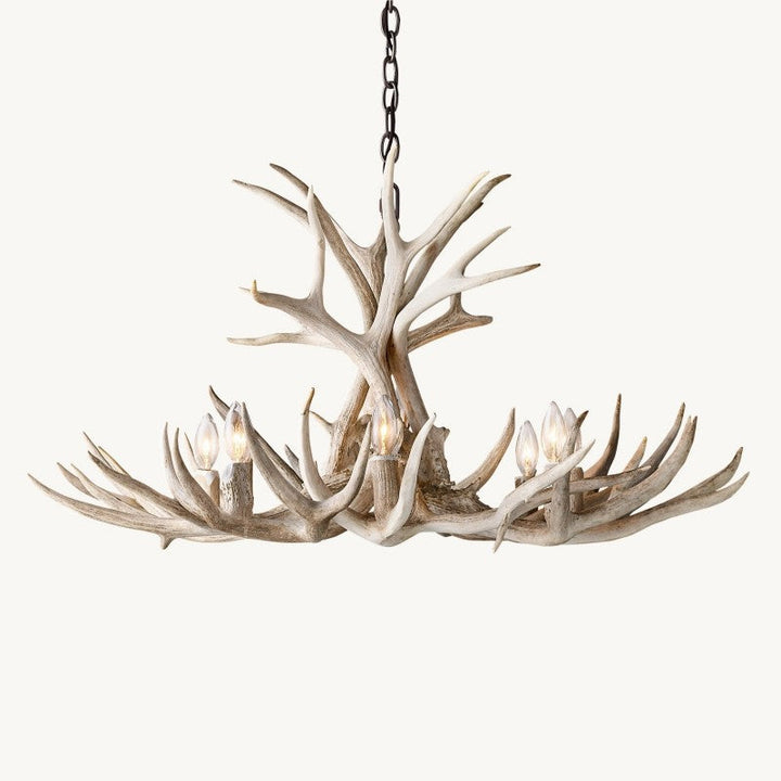 Natural Deer Antler 8 Light Chandelier 36''
